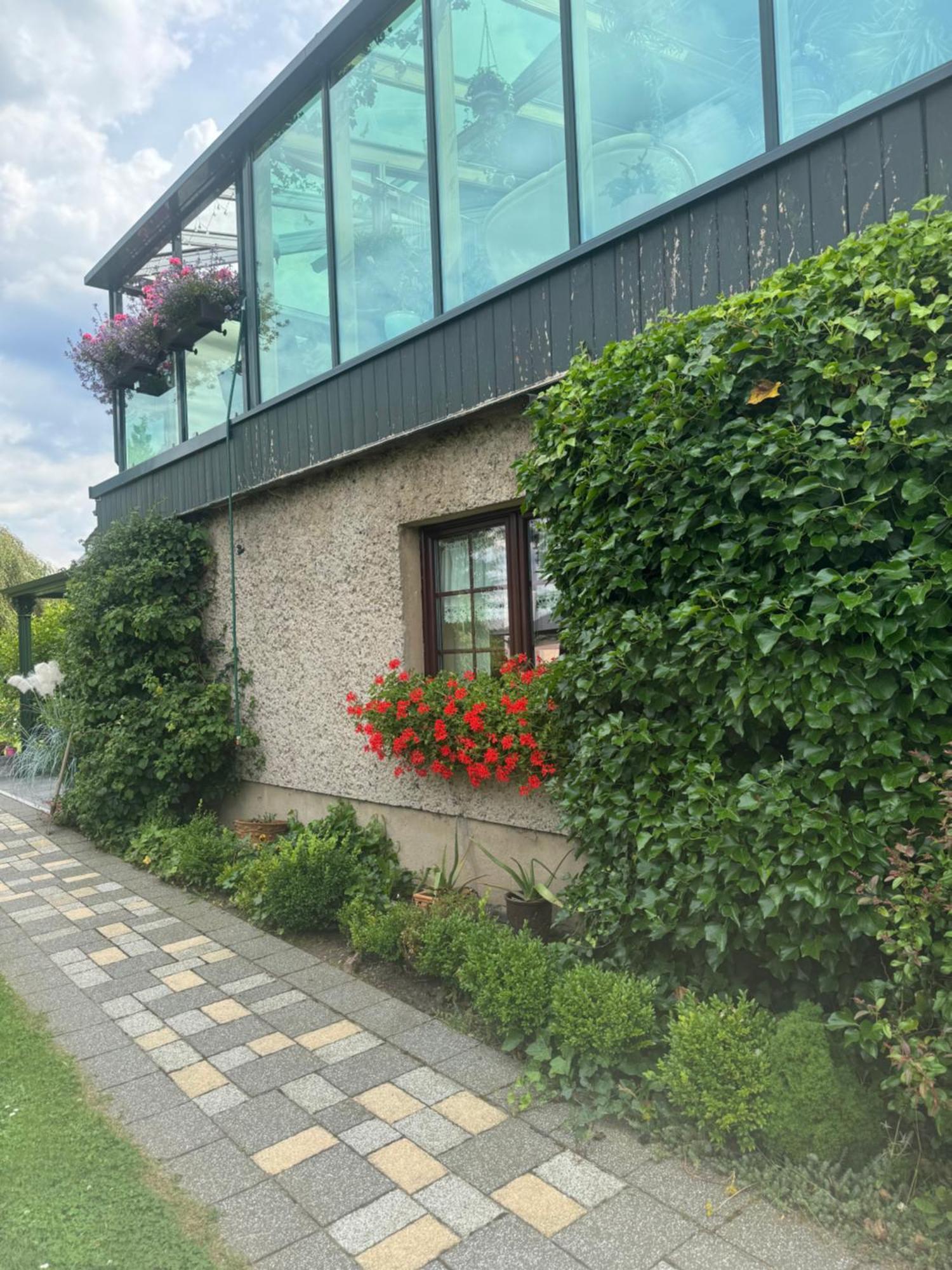Ferienwohnung Hinterhermsdorf Glaser Sebnitz Extérieur photo