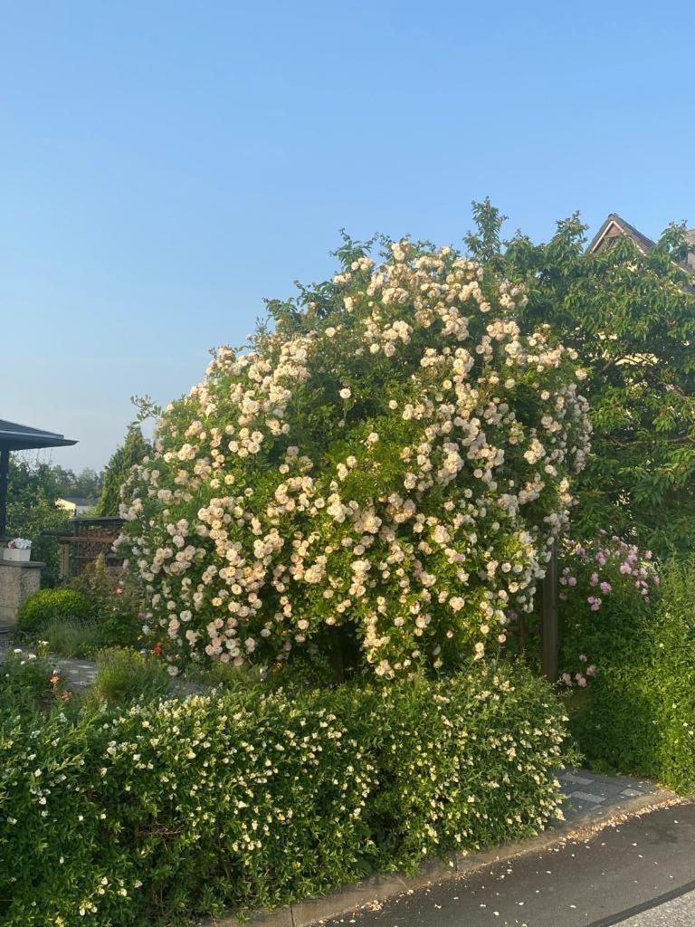 Ferienwohnung Hinterhermsdorf Glaser Sebnitz Extérieur photo